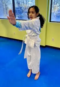 How Martial Arts Can Help Your Child Deal with Bullies