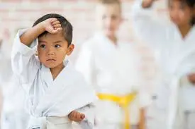 Difference between Taekwondo and Karate